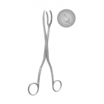 Sterilizing Forceps